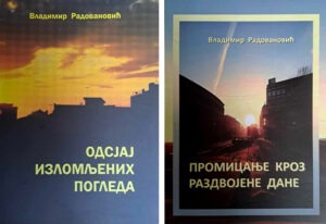 lektura poezije vladimir radovanovic
